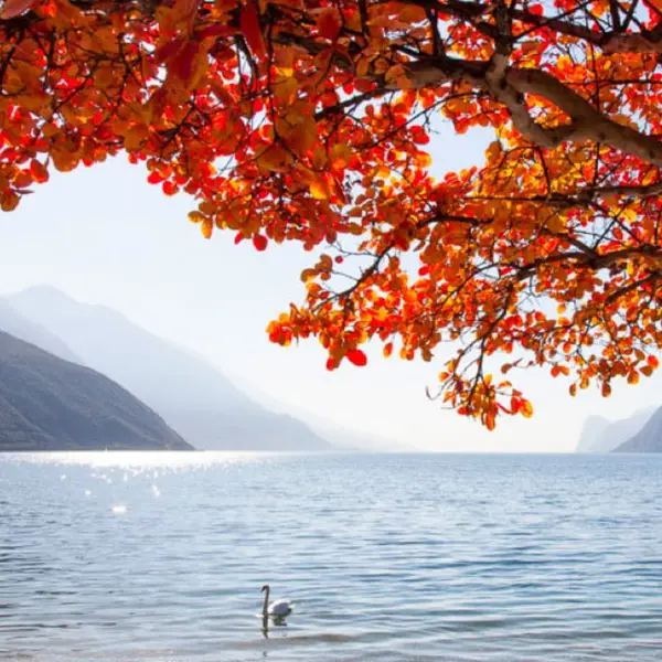 Offre de septembre sur le lac de Garde